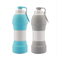 Wholesale Travel Bottle Set Silicone Bottle And Packaging Portable 580ml 500ml Bottle